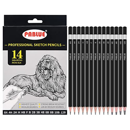 14Pcs Professional Graphite Sketch Pencils for Drawing (6H-12B) | Professional Triangular Graphite Pencils Set (6H,4H,2H,H,HB,F,B,2B,3B,4B,6B,8B,10B,12B) for All Drawing and Shading Needs