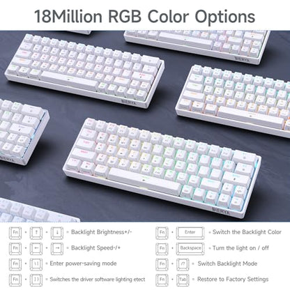 DIERYA DK63 60% Wireless Mechanical Gaming Keyboard | Bluetooth/2.4G/Wired Keyboard | RGB Backlit Compact 63 Keys Mini Office Keyboard | with Blue Switch | for Windows Laptop PC Gamer Typist-White - style: White/Blue Switches