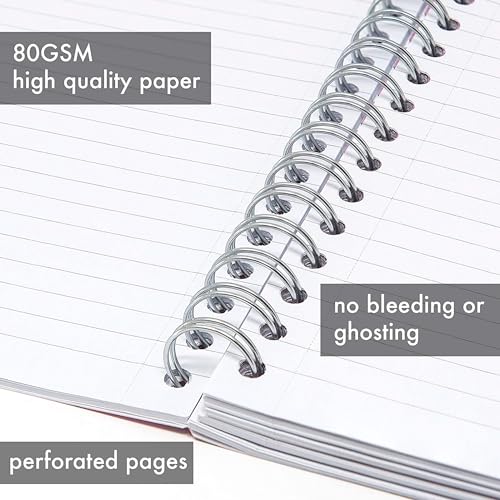 Pukka Pad 5 Subject Spiral Notebook 12-Pack - 200 Pages, 100 Sheets of 80GSM Paper with Repositionable Dividers & Perforated Edges for Office Planning & Organization - B5-7 X 10, Rochelle & Jess - color: Rochelle & Jess