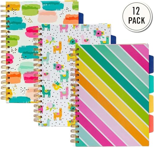 Pukka Pad, Carpe Diem 5-Subject Double Spiral Bound Notebook 12-Pack with Repositionable Dividers - 200 Pages of 80GSM Paper with Perforated Edges – Color Wash, B5 10 X 7in - color: Color Wash, style: Pack of 12