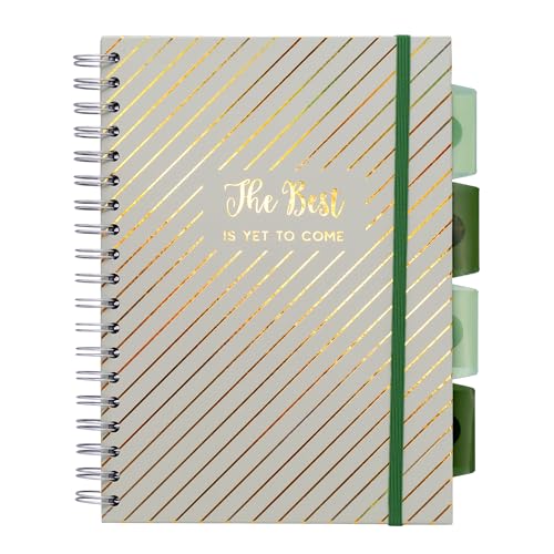 Pukka Pad Haze B5 Notebook – Pack of 3 Wirebound Notebooks with 5 Repositionable Dividers with Storage Pockets and Tabs for Organisation and Personalisation – 200 Pages, 100 Sheets of 80GSM Paper - color: Haze