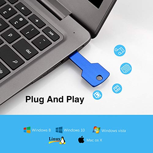 RAOYI 10 Pack 2GB USB Flash Drive USB 2.0 Metal Key Shape Memory Stick Thumb Drive Pen Drive-Blue - color: Blue, size: 2GB