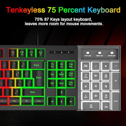 RGB 87 Keys Gaming Keyboard and Backlit Mouse Combo,BlueFinger USB Wired Rainbow Keyboard,Gaming Keyboard Set for Laptop PC Computer Game and Work - color: Black 01