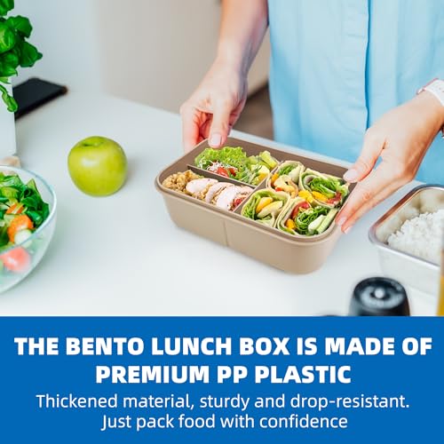 Fanhaw 40 Oz/5 Cup Bento Box for Kids, Men and Women, Lunch Box with 3 Compartments, Utensil, Microwave & Dishwasher Safe (Brown) - color: Brown