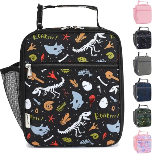 GYEUKHAM Lunch Box for Kids Boys Girls Men Women, Insulated Small Soft Cooler Lunch Bag Kit for School Work Picnic Travel - Reusable Portable lunchbox, Dinosaur Fossil - color: Dinosaur Fossil