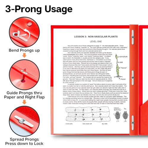 Dunwell Plastic 2-Pocket Folders with 3 Prongs, (24 Pack, Red), Durable Acid-Free Poly is Cleanable, Tear Resistant, 3-Clasp Document Holder, Labels Included - color: Red, size: 24 Pack
