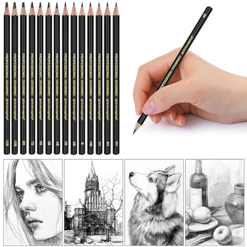 Heshengping Drawing Sketch Pencil Set 14pcs Sketching Pencils 12B 10B 8B 7B 6B 5B 4B 3B 2B B HB 2H 4H 6H Graphite Pencils for Kid Adults Artists Student Beginners Professional - color: Style3
