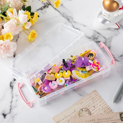 Gueevin 24 Pcs Large Capacity Plastic Pencil Box Clear Plastic Pencil Case Crayon Box with Snap Tight Lid Watercolor Pen Storage Brush Organizer Drawing Tools Container (Pink) - color: Pink