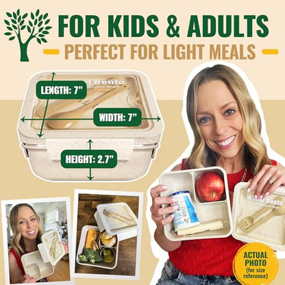 GreenLunch Bento Lunch Box for Kids, Large 2-Compartment, Durable and Microwave Safe, BPA-Free with Utensils, Wheat Straw Snack Containers for Kids – Beige - color: Natural