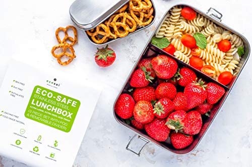ecozoi Stainless Steel Bento Lunch Box, 50 Oz | 2-compartment Lunch Box with Removable Divider and Bonus Mini Sauce Pod | Leak Proof and Eco Friendly Storage Container for School, Work, and College - size: 2 Compartment 50 Oz