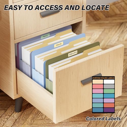 Ansook Expanding File Pockets 3.5" Expansion,6 Pack Extra Capacity Poly File Pockets,Heavy Duty Letter Size File Pockets for Cabinet with Straight-Cut Tab,Holds 8.5" x 11" documents & Manila Folder - size: 3.5" Expansion, style: LETTER (8.5 "x 11")