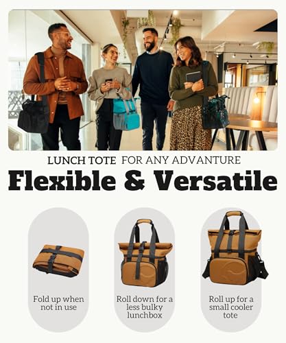 SUNNY BIRD Dual Compartment Lunch Bag Insulated Lunch Box for Women and Men (Brown) - color: Brown