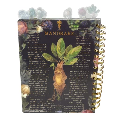 Innovative Designs Harry Potter Tab Journal Notebook, Herbology - Spiral Bound, 144 Lined Pages, 8 x 7 inches - style: Harry Potter Herbology