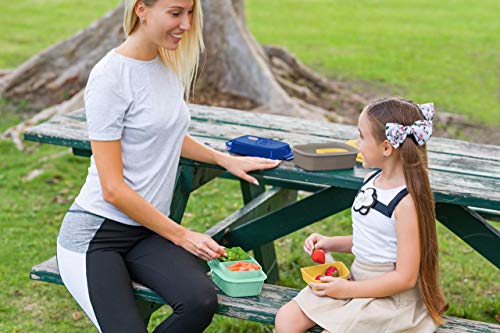 Ultimate Bento Box - Lunch Box for Kids & Adults with Removable Ice Pack - Leakproof, Multi-Compartment Food Container with Removable Containers - Microwave & Dishwasher Safe (Blue/Green) - color: Blue/Green