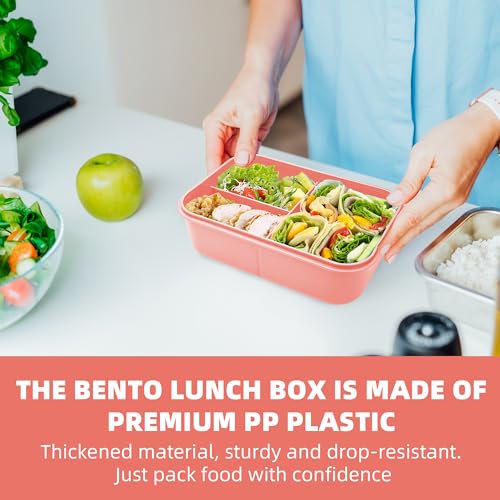 Fanhaw 40 Oz/5 Cup Bento Box for Kids, Men and Women, Lunch Box with 3 Compartments, Utensil, Microwave & Dishwasher Safe (Pink) - color: Pink