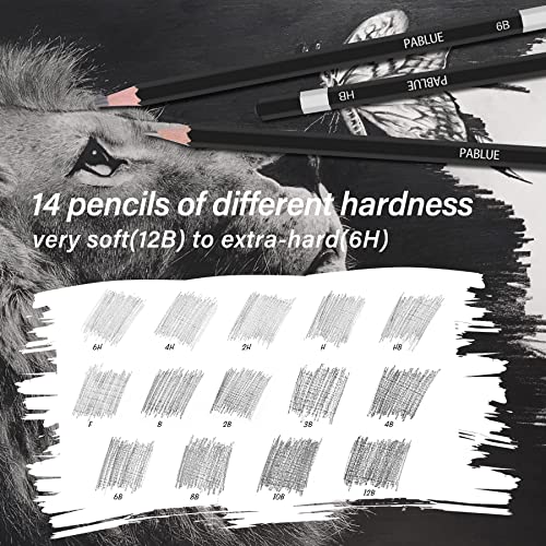 14Pcs Professional Graphite Sketch Pencils for Drawing (6H-12B) | Professional Triangular Graphite Pencils Set (6H,4H,2H,H,HB,F,B,2B,3B,4B,6B,8B,10B,12B) for All Drawing and Shading Needs