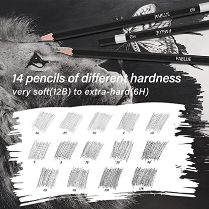 14Pcs Professional Graphite Sketch Pencils for Drawing (6H-12B) | Professional Triangular Graphite Pencils Set (6H,4H,2H,H,HB,F,B,2B,3B,4B,6B,8B,10B,12B) for All Drawing and Shading Needs