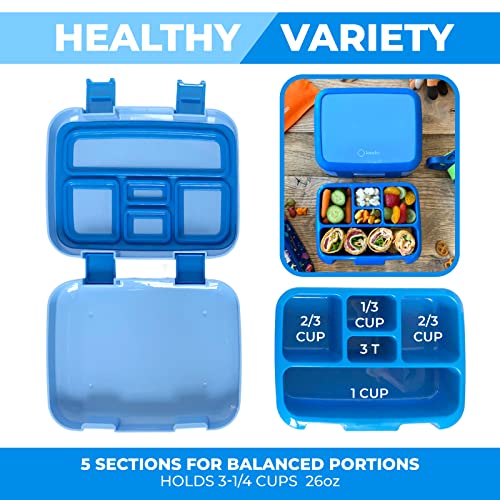 kinsho Bento Lunch Box for Kids Toddlers Boys, 5 Portion Sections Secure Lid, Microwave Safe BPA Free Removable Tray, Pre-School Kid Daycare Lunches Snack Container Ages 3 to 5, Blue - color: Blue