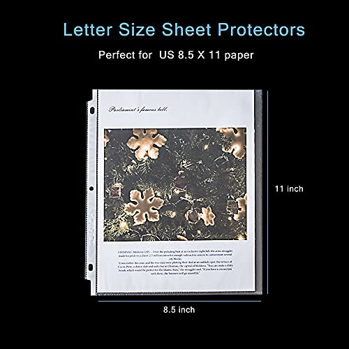Seashell 200PCS Heavy Duty Non-Glare Sheet Protectors, Letter Size Page Protectors Reinforced 3-Hole, Plastic Sleeves for 3 Ring Binder, Top Loading for 8.5 x 11 Inch Sheets - size: heavyweight Box of 200