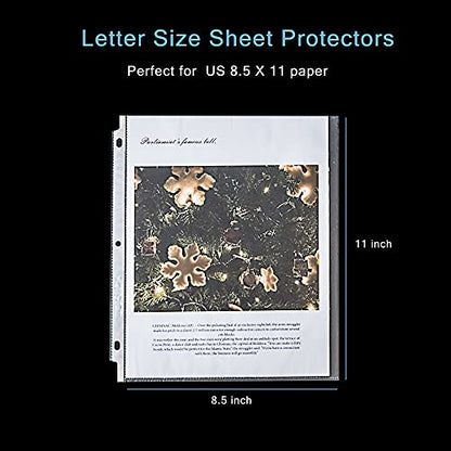 Seashell 100 Economy Non-Glare Sheet Protectors, Plastic Page Protectors for 3 Ring Binder, Letter Size, Top Loading, 3 Hole Punched, Binder Sleeves for 8.5 x 11 Paper, for School and Office use… - size: Economy Bag of 100