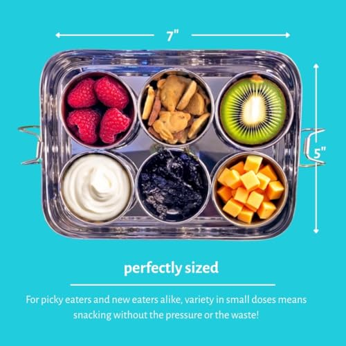 Stainless Steel Reusable Snack Bento Box: 6 50mL containers included | Plastic Free | Dishwasher Safe | No Spill, Leakproof | Perfect Toddler Lunch Box for School, Airplane, On-the-go