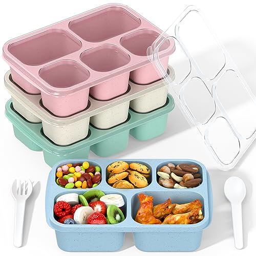 Bento Box Adult Lunch Box - 4 Pack, 5 - Compartment Meal Prep Container for Kids, Reusable Food Storage Snack Containers - Stackable for School, Work, and Travel (Wheat(Green/Blue/Pink/Beige)) - color: Wheat(Green/Blue/Pink/Beige)
