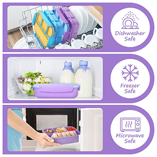 QQKO Bento Lunch Box for Kids Girls Boys, Toddler Kids Lunch Boxes for School, Lunch Containers for Adults with 4 Compartments, Sauce Container, Utensils, Food Picks and Muffin Cups, Purple - color: Purple