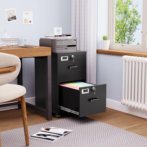 BYNSOE 2 Drawers File Cabinet with Lock Metal Vertical File Cabient with Wheels Mobile File Cabinet for Office Home Legal/Letter/a4 Size Require Assembly - color: Black, size: 2 Drawers-wheels