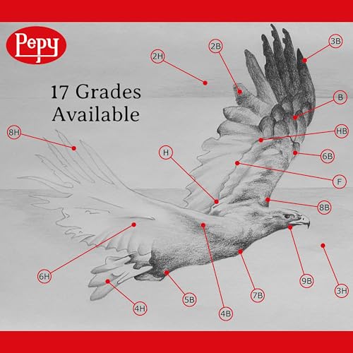 Pepy Graphite Professional Drawing Pencils - Set of 12 F Pre-Sharpened Black Lead Pencils; Perfect for Drawing, Sketching and Shading, Graphic and Fine Art - style: Set of 12 - F