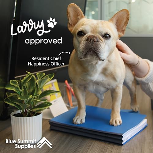 Blue Summit Supplies 10 Classification Folders, 2 Divider, Dark Blue | Heavy-duty, 2 in expansion, 2 prong fasteners, 2 dividers, 6 sections, for medical, legal, and personnel files