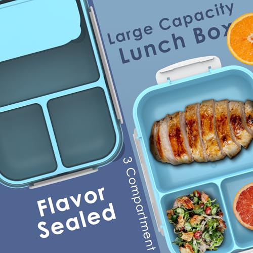 WHALEHOUSE Large Capacity Bento Box for Adult, 1700ML 3 Compartments Lunch Box with Utensil, Airtight Food Container with Lids for Meal Prep, Microwave/Dishwasher/Freezer Safe, On the Go (Blue) - color: 1700mL-Blue