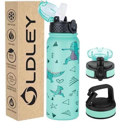 Oldley Insulated Water Bottle 20oz Water Bottles with Straw, Stainless Steel Water Bottle with 3 Lids, Double Wall Vacuum Bottles for Adult Kids, Sports Bottles for School Travel, Cute Dinosaur - color: Cute Dinosaur, size: 20 Ounces