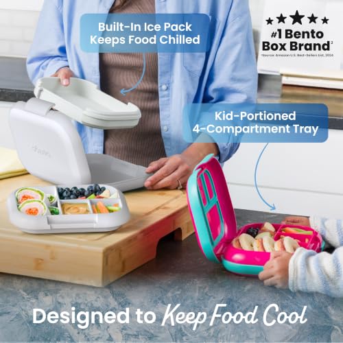 Bentgo Chill Kids Leakproof Lunch Box - 4-Compartment Bento Box with Built-In Ice Pack, 3.3 Cup Capacity, BPA-Free, Microwave & Dishwasher Safe Tray, Ages 3–7 (Gray) - color: Gray