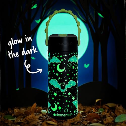 Elemental Insulated Kids Water Bottle, Stainless Steel Water Bottle with Straw Lid & Pop-It Handle, Leak-Proof Water Bottles for School, Boys or Girls, Travelling and Sports, 18oz - Glow Bats - color: Glow Bats