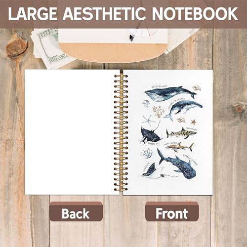 KAOWT Ocean Shark Notebook Journal, Whale Shark Gifts Office Supplies Notebooks for Note Taking, Marine Biology Ocean Journal, Beach Lover Gifts, Hardcover Spiral Notebook 5.5x8.3in - color: Summer notbook-shark