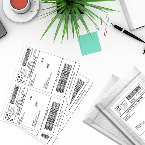 Half Sheet Laser/Ink Jet Shipping Labels UPS FedEx Address Labels (2000 Sheets, 4000 Labels) - size: 2000 sheets, style: 2 up-8.5"x5.5"