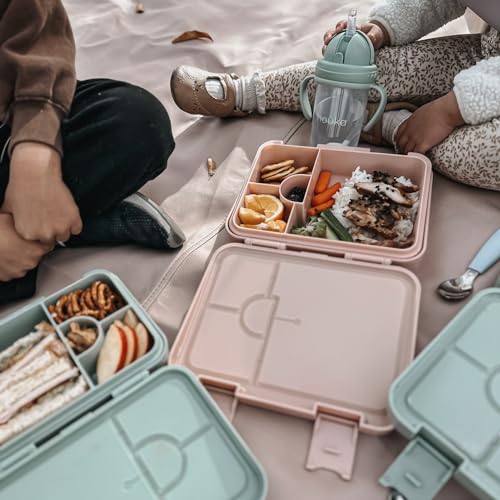 nouka Chill Bento Lunch Box | Easy to Open Latches | Spill Proof Design | 6-Compartment Removable Tray | Deep Ocean
