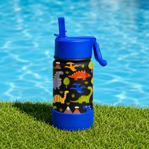 CHILLOUT LIFE 12oz Kids Insulated Stainless Steel Water Bottle with Leak Proof Straw Lid & 144 Stickers - color: Dinosaur, style: 12 oz