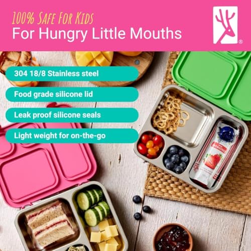 Elk and Friends Kids Stainless Steel Bento Box with Silicone Lid | Leak-proof | Toddler Lunch Container | 4 Compartments | Dishwasher Safe - color: Sage
