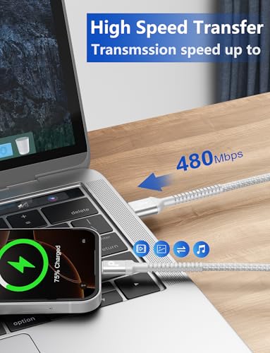 USB A to USB C Cable Fast Charging [2 Pack, 6FT], USB to USB C Charger Cable Upgraded Extra Durable Braided USBC Cable Compatible with iPhone 17 16 15 Pro Max, Samsung Galaxy S26 and More -Silver - color: Silver, size: 6FT 2Pack, style: USB A to USB C