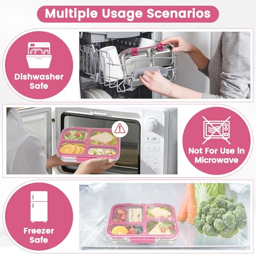 Stainless Steel Bento Box for Kids Adults with Silicone Container, Leak Proof 4 Compartments Metal Lunch Box, Removable Silicone Seal & Clear Lid Food Container for School Office, BPA-Free(Pink) - color: Pink
