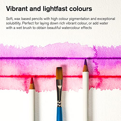 Winsor & Newton Studio Collection 아티스트 연필, 수채화 연필, 12개 세트 - style: 수채화 연필 12개
