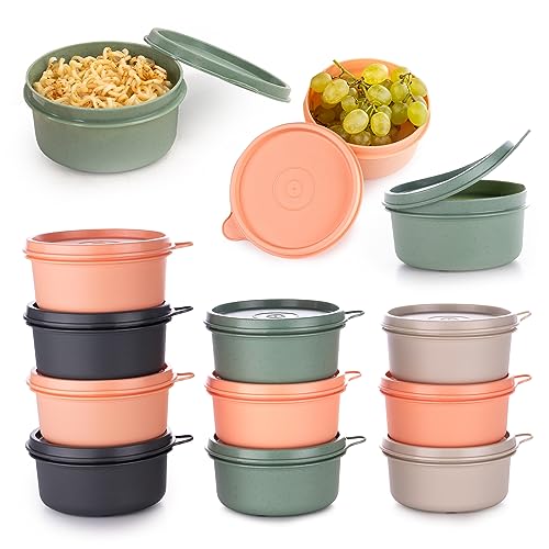 9 oz Small Round Food Storage Containers with Lids Set of 10, Airtight Leakproof Reusable, Plastic To Go Bento Box, Mini Lunch Box, Snack Storage Bowl, for Kitchen, Picnic (10)