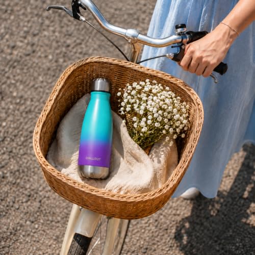 CHILLOUT LIFE 12oz Kids Insulated Stainless Steel Water Bottle, Leak Proof | Small Metal Water Bottle, Keeps Drinks Cold 24H & Hot 12H, Leak-Proof Screw Lid, Perfect for School, Travel & Sports - color: Caribbean Lily