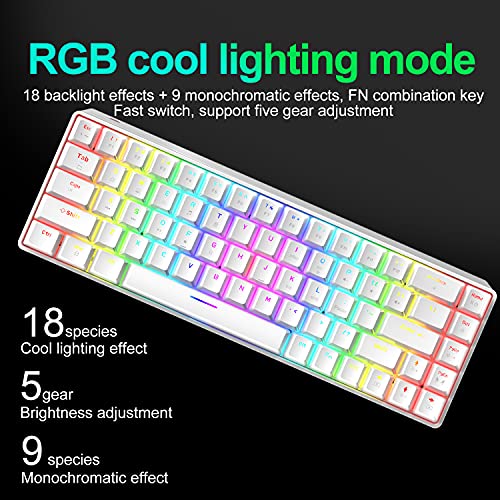 65% Wired Gaming Mechanical Keyboard and Mouse Combo, Mini 68 Keys, RGB Backlight, Lightweight RGB Optical Mouse,Mouse Pad Compatible with PS4,Xbox,PC,Laptop,MAC (White/Blue Switch) - color: white/blue switch