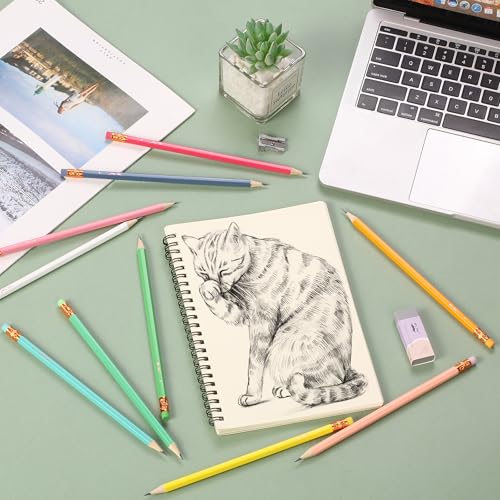 Mr. Pen- Pencils #2 HB, 10 Pack, Black Lead, Vibrant Wooden Barrels | Pencils Set for Gift