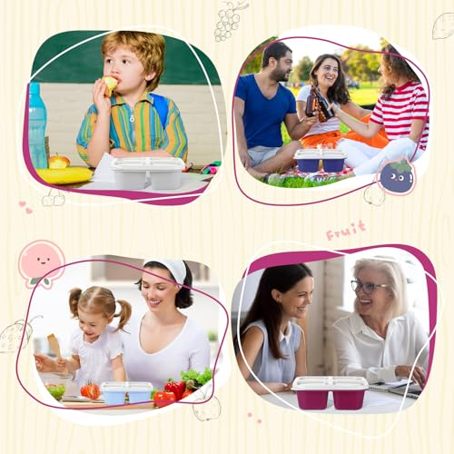 Honeydak 5 Pack Snack Containers 4 Compartment Bento Snack Boxes Reusable Lunchable Containers with Lids Divided Meal Prep Lunch Food Storage Box for School Work Travel(Elderberry,Equal) - color: Elderberry, style: Equal