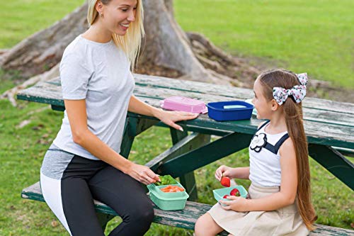 Ultimate Bento Box - Lunch Box for Kids & Adults with Removable Ice Pack - Leakproof, Multi-Compartment Food Container with Removable Containers - Microwave & Dishwasher Safe (Pink, Green, Pink) - color: Pink, Green, Pink