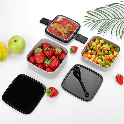 Dachshund Weiner Pet Dog Bento Box Adult Lunch Box Sealed Bento Lunch Boxes Double Layer Bento Boxes Leak Proof Lunch Containers Ideal for Meal Prep, Work, And On The Go Camping