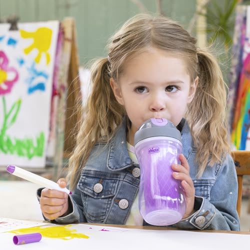Chicco Insulated Straw Sippy Cup 12+ Months, 9oz Toddler Training Cup with Spill-Free Flip-Top Lid, BPA-Free 2-Pack, Dream Pink/Purple - color: Dream Pink/Purple, size: 9 Ounces
